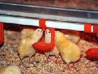 poultry drinking system