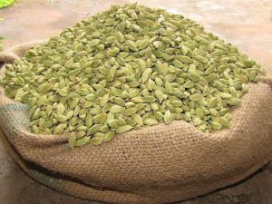 cardamom green