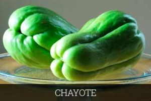 Fresh Chayote