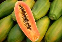 Fresh Papaya