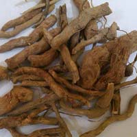 Dried Serpentina Roots