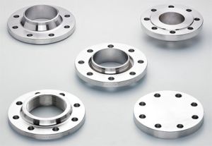 Stainless Steel Forged Flanges