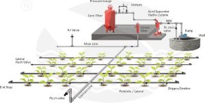 Drip Irrigation System