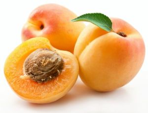 Fresh Apricot