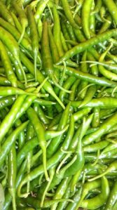 Fresh Green Chilli