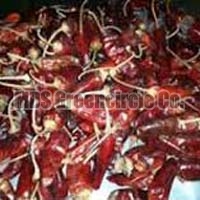 Assam Dried Red Chilli