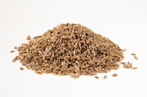 Dill Seeds