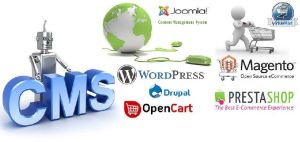 CMS Web Development