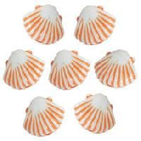 sea shell beads