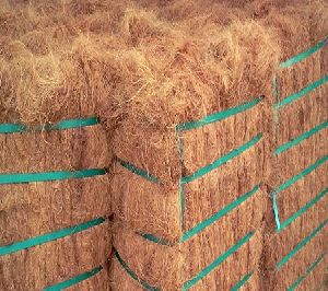 Coir Fibre