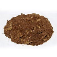 Shakti Plus Feed