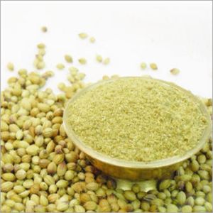 Coriander