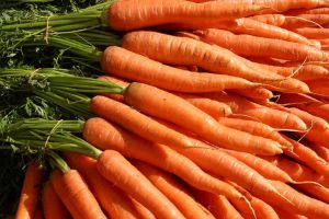 Fresh Carrots