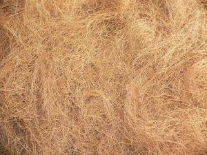 Coconut Coir Fibre