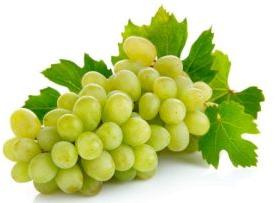 Fresh Grapes