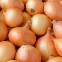 Fresh Brown Onion