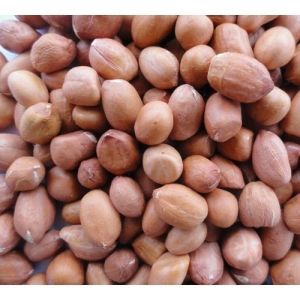 Bold Groundnut Kernels