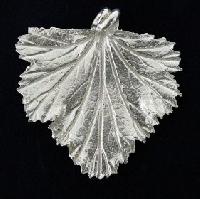 Silver Leaves