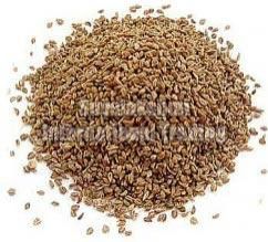 Ajwain Seeds