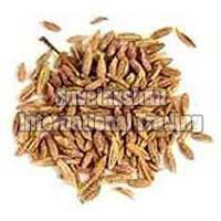 Cumin Seeds