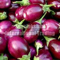 Fresh Brinjal