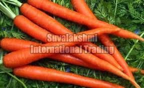 Fresh Carrot