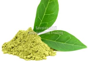 Green Tea Extract