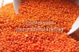 Red Lentils