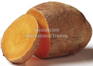 Fresh Sweet Potato