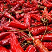 red chilli whole