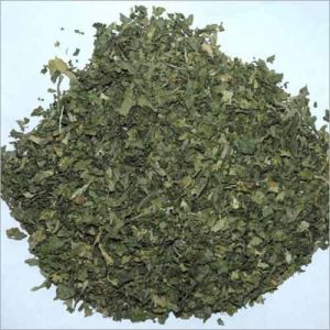 Dehydrated Coriander Leaves