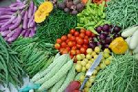 natural fresh vegetables