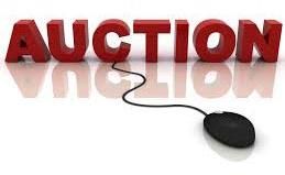 e auctions services on sellxg.com