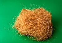 Coconut Coir Fiber