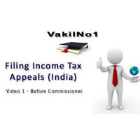 Income Tax Appeal Filling Consultant