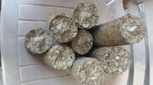 Biomass Briquettes