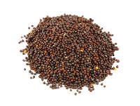 Brown Mustard Seeds