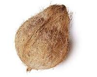 Coconuts semi husked