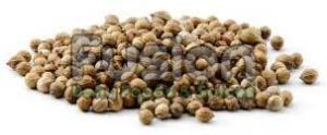 Coriander Seeds