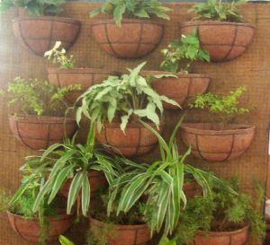 Coir Fibre Pots