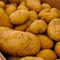 Potatoes fresh frozen