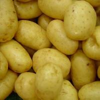 Potatoes frozen