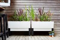 Indoor And Outdoor Planter