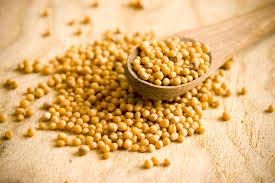 Mustard Seeds