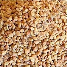 Fenugreek Seeds