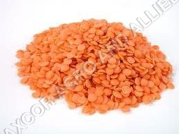 Red Lentil