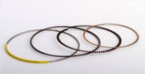 piston ring spring