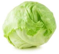 Iceberg Lettuce