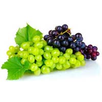 Fresh Green & Black Grapes