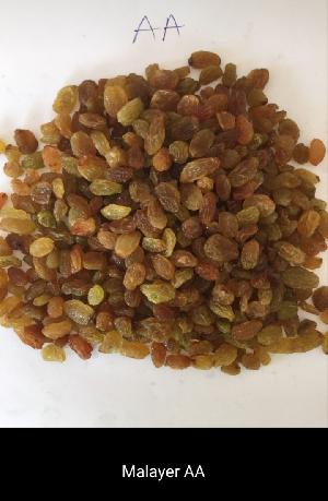 AA Malayer Raisins